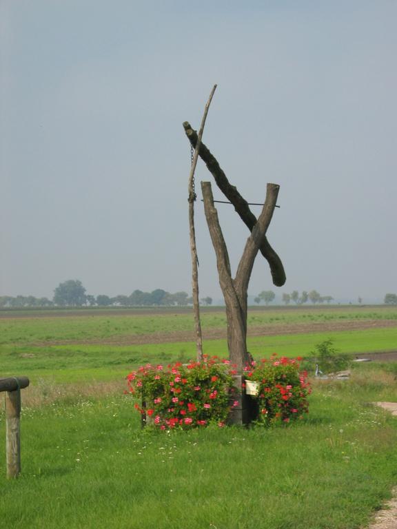 Gasthof Zur Linde Mosonszentandrás Kültér fotó
